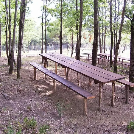 Monte Pennarrone Farm stay *